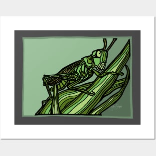 Green Grows the Grasshopper Posters and Art